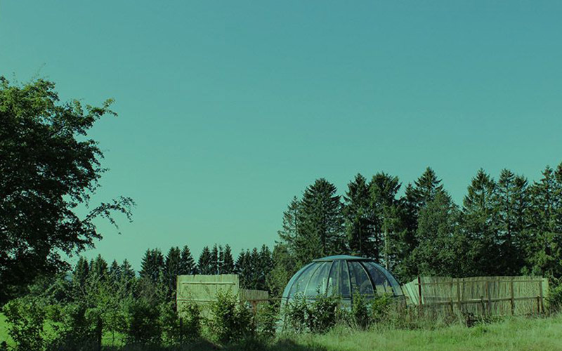 Location de vacances La Bulle au Bois Dormant